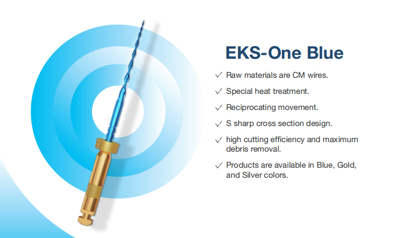 EKS-Endo Motor