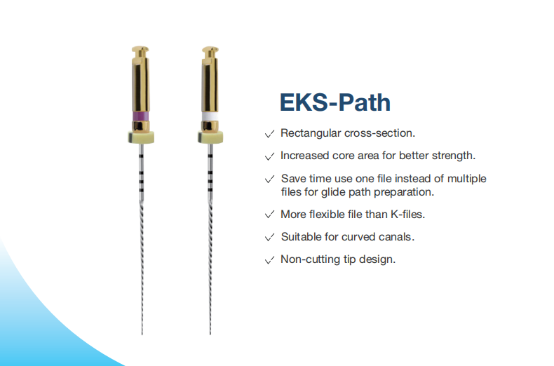 EKS-Endo Motor