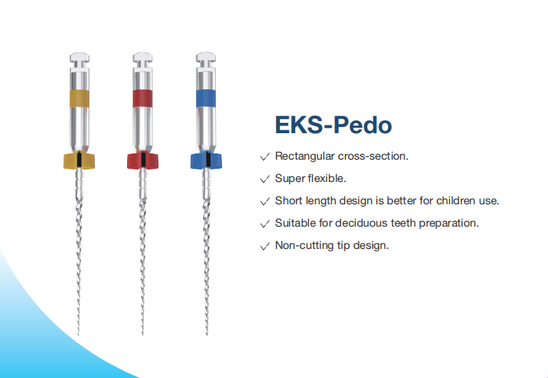 EKS-Endo Motor